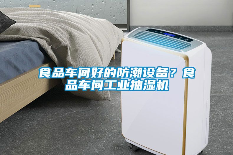 食品車間好的防潮設(shè)備？食品車間工業(yè)抽濕機(jī)