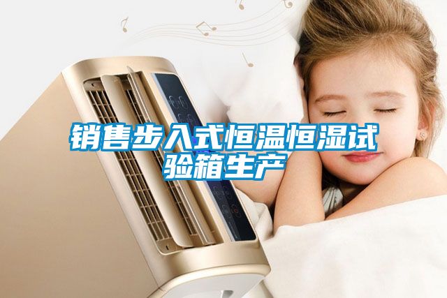 銷(xiāo)售步入式恒溫恒濕試驗(yàn)箱生產(chǎn)