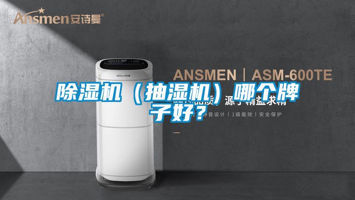 除濕機（抽濕機）哪個牌子好？