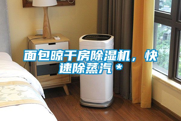 面包晾干房除濕機(jī)，快速除蒸汽＊