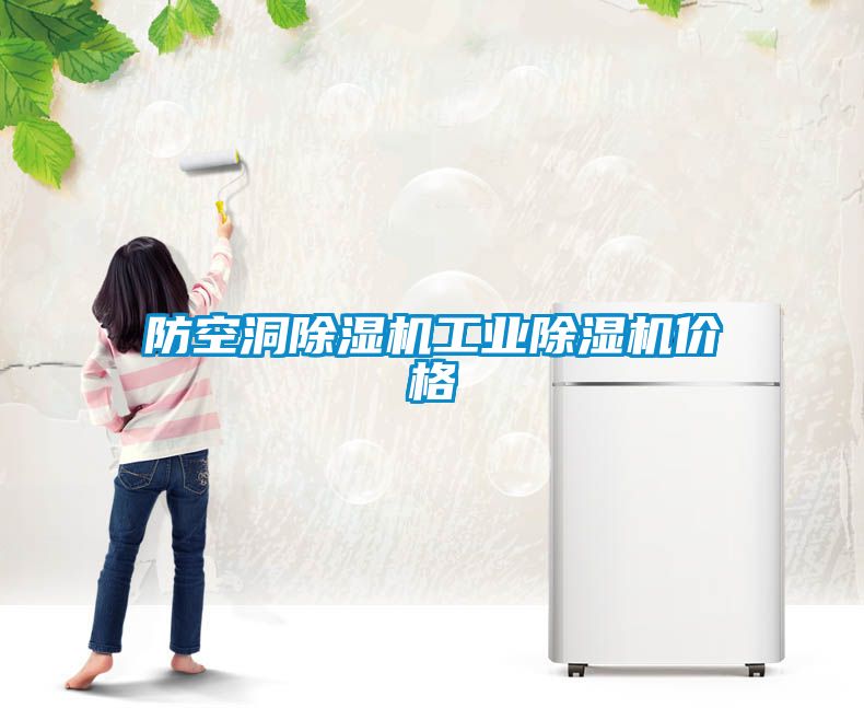 防空洞除濕機(jī)工業(yè)除濕機(jī)價格