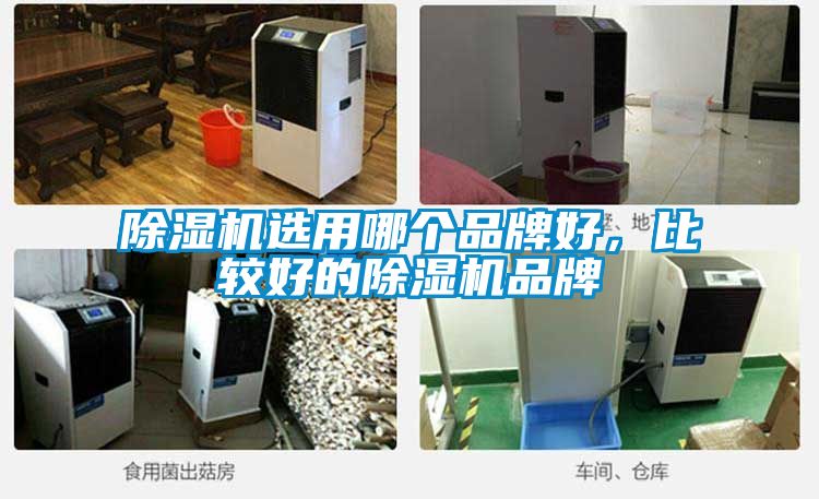 除濕機(jī)選用哪個品牌好，比較好的除濕機(jī)品牌