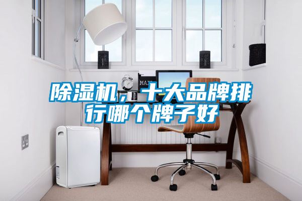除濕機(jī)，十大品牌排行哪個(gè)牌子好