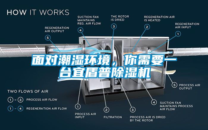 面對(duì)潮濕環(huán)境，你需要一臺(tái)宜盾普除濕機(jī)