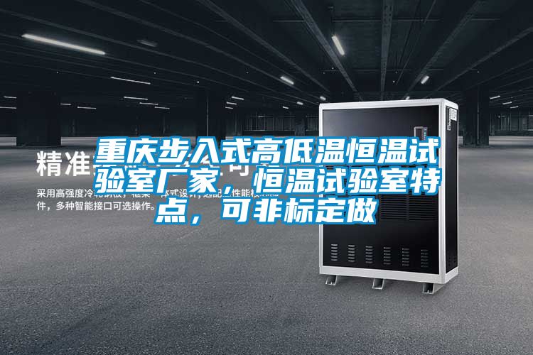 重慶步入式高低溫恒溫試驗(yàn)室廠家，恒溫試驗(yàn)室特點(diǎn)，可非標(biāo)定做