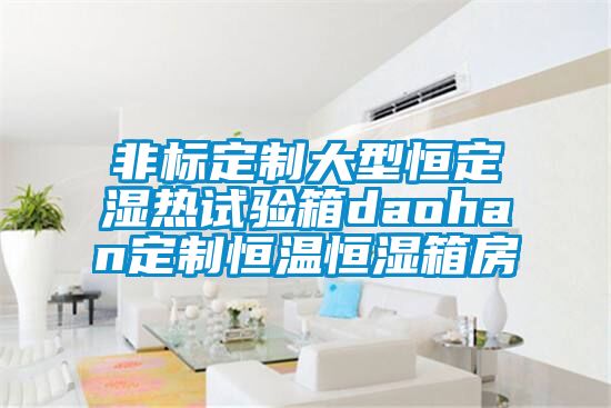 非標(biāo)定制大型恒定濕熱試驗(yàn)箱daohan定制恒溫恒濕箱房