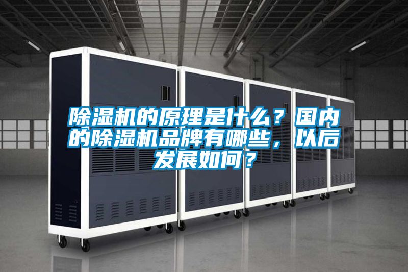 除濕機的原理是什么？國內(nèi)的除濕機品牌有哪些，以后發(fā)展如何？