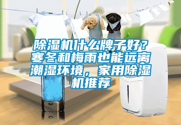 除濕機什么牌子好？寒冬和梅雨也能遠離潮濕環(huán)境，家用除濕機推薦