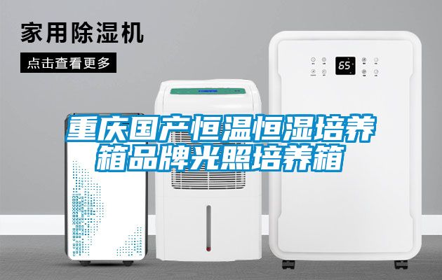 重慶國產恒溫恒濕培養(yǎng)箱品牌光照培養(yǎng)箱