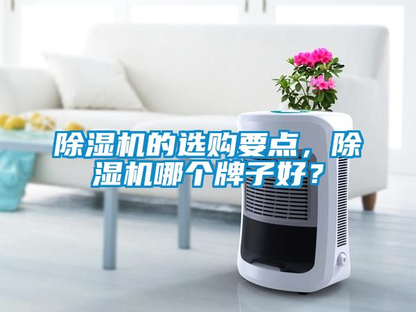 除濕機的選購要點，除濕機哪個牌子好？