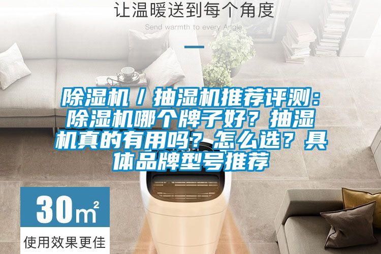 除濕機(jī)／抽濕機(jī)推薦評(píng)測：除濕機(jī)哪個(gè)牌子好？抽濕機(jī)真的有用嗎？怎么選？具體品牌型號(hào)推薦
