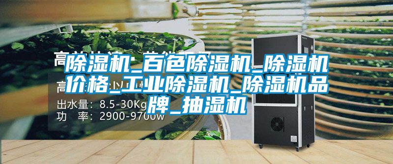 除濕機(jī)_百色除濕機(jī)_除濕機(jī)價格_工業(yè)除濕機(jī)_除濕機(jī)品牌_抽濕機(jī)
