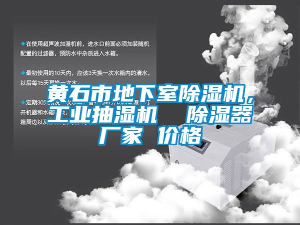 黃石市地下室除濕機(jī)，工業(yè)抽濕機(jī)  除濕器廠家 價(jià)格