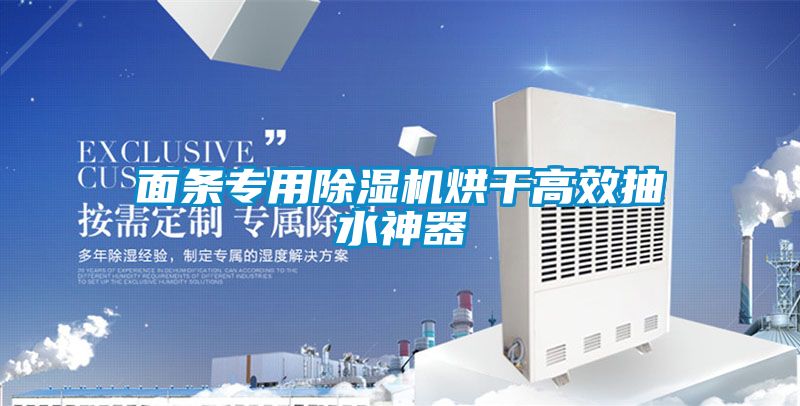 面條專(zhuān)用除濕機(jī)烘干高效抽水神器