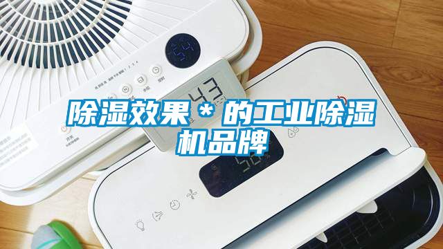 除濕效果＊的工業(yè)除濕機品牌