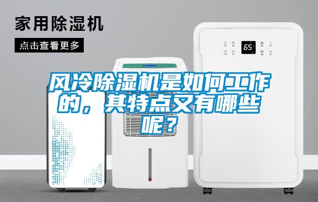 風(fēng)冷除濕機(jī)是如何工作的，其特點(diǎn)又有哪些呢？