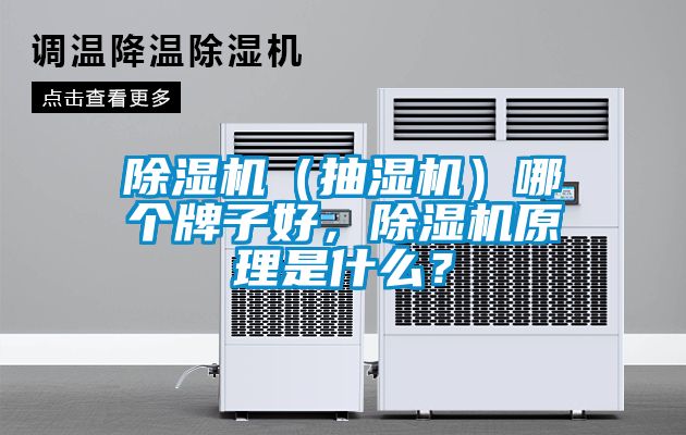 除濕機（抽濕機）哪個牌子好，除濕機原理是什么？