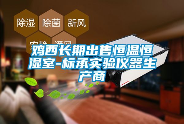 雞西長(zhǎng)期出售恒溫恒濕室-標(biāo)承實(shí)驗(yàn)儀器生產(chǎn)商