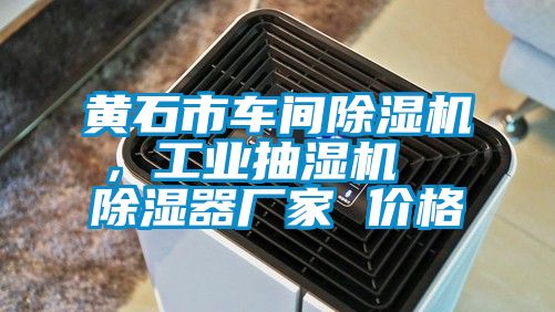 黃石市車間除濕機(jī)，工業(yè)抽濕機(jī)  除濕器廠家 價(jià)格