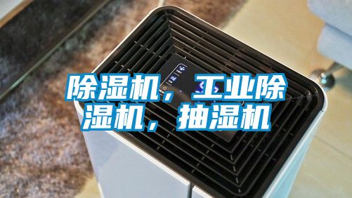 除濕機(jī)，工業(yè)除濕機(jī)，抽濕機(jī)