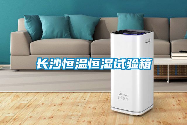 長(zhǎng)沙恒溫恒濕試驗(yàn)箱