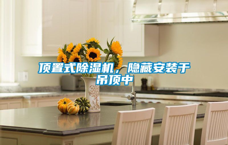 頂置式除濕機(jī)，隱藏安裝于吊頂中