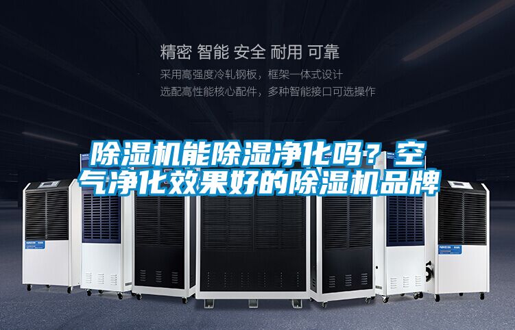 除濕機(jī)能除濕凈化嗎？空氣凈化效果好的除濕機(jī)品牌