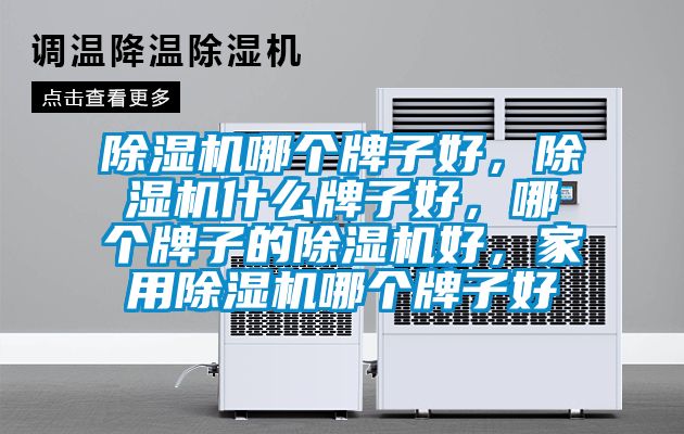 除濕機(jī)哪個(gè)牌子好，除濕機(jī)什么牌子好，哪個(gè)牌子的除濕機(jī)好，家用除濕機(jī)哪個(gè)牌子好