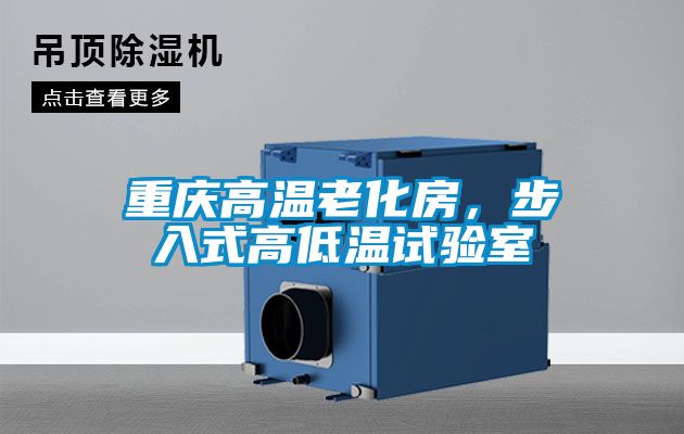 重慶高溫老化房，步入式高低溫試驗(yàn)室
