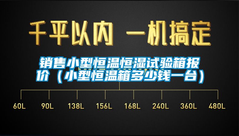 銷售小型恒溫恒濕試驗(yàn)箱報(bào)價(jià)（小型恒溫箱多少錢一臺）