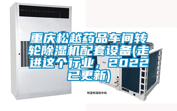 重慶松越藥品車(chē)間轉(zhuǎn)輪除濕機(jī)配套設(shè)備(走進(jìn)這個(gè)行業(yè)，2022已更新)