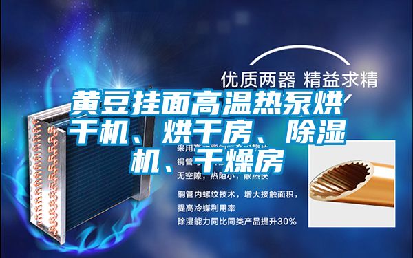 黃豆掛面高溫?zé)岜煤娓蓹C(jī)、烘干房、除濕機(jī)、干燥房