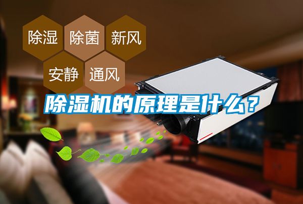 除濕機(jī)的原理是什么？