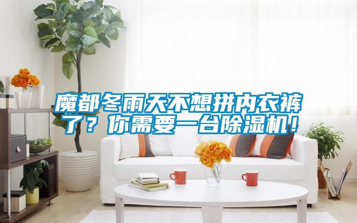 魔都冬雨天不想拼內(nèi)衣褲了？你需要一臺(tái)除濕機(jī)！