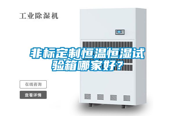 非標(biāo)定制恒溫恒濕試驗(yàn)箱哪家好？