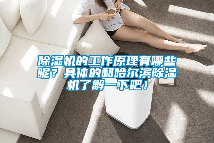 除濕機(jī)的工作原理有哪些呢？具體的和哈爾濱除濕機(jī)了解一下吧！