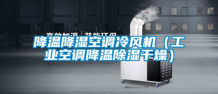 降溫降濕空調(diào)冷風(fēng)機（工業(yè)空調(diào)降溫除濕干燥）
