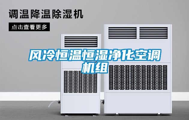 風(fēng)冷恒溫恒濕凈化空調(diào)機組