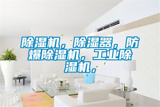 除濕機(jī)，除濕器，防爆除濕機(jī)，工業(yè)除濕機(jī)，