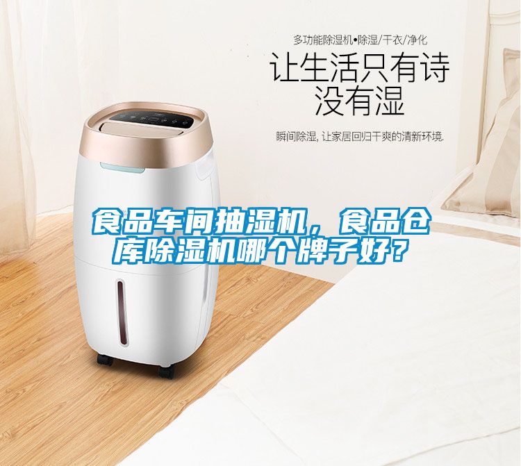 食品車間抽濕機，食品倉庫除濕機哪個牌子好？