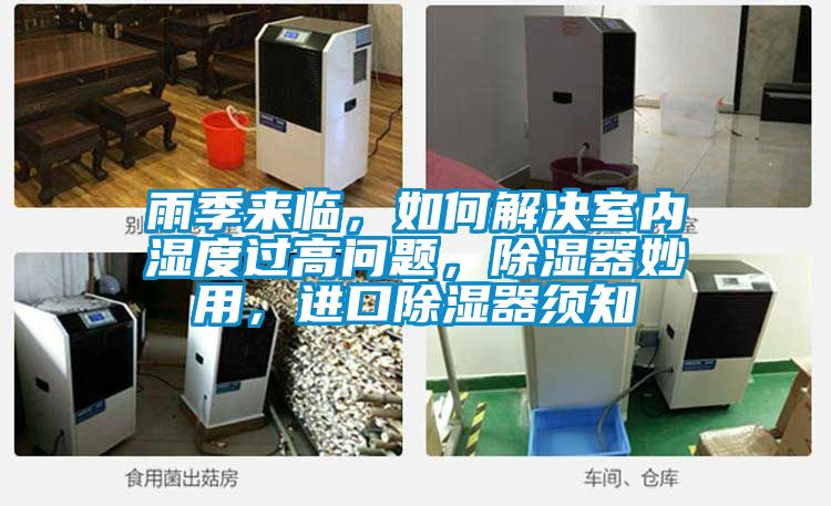 雨季來臨，如何解決室內濕度過高問題，除濕器妙用，進口除濕器須知