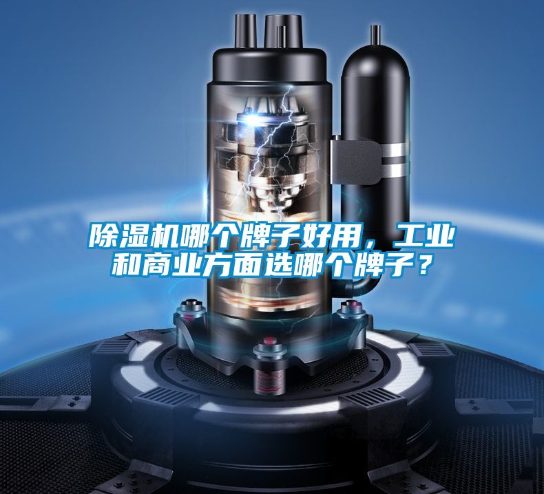 除濕機(jī)哪個(gè)牌子好用，工業(yè)和商業(yè)方面選哪個(gè)牌子？