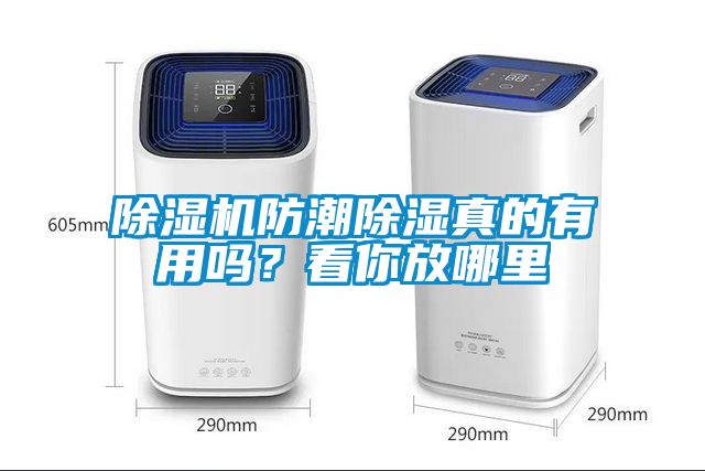 除濕機防潮除濕真的有用嗎？看你放哪里