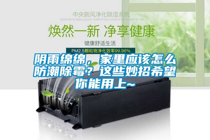陰雨綿綿，家里應(yīng)該怎么防潮除霉？這些妙招希望你能用上~