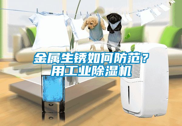金屬生銹如何防范？用工業(yè)除濕機