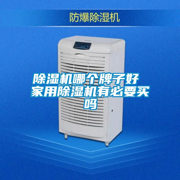 除濕機(jī)哪個(gè)牌子好 家用除濕機(jī)有必要買(mǎi)嗎