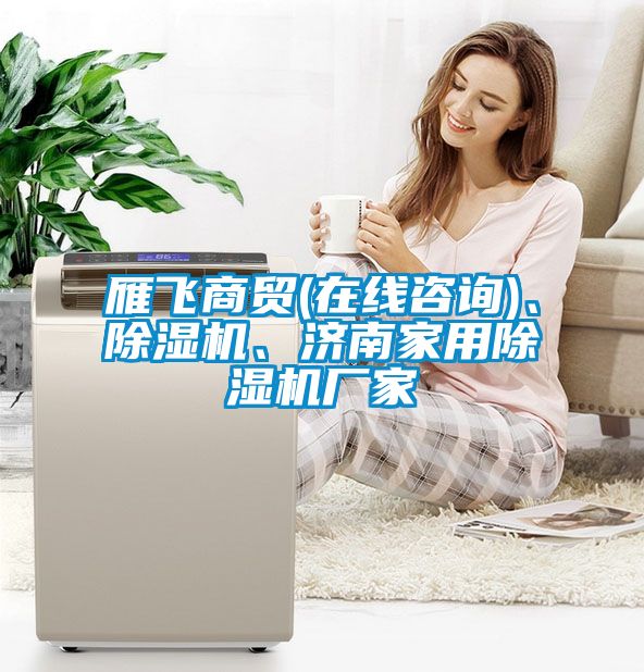 雁飛商貿(mào)(在線咨詢(xún))、除濕機(jī)、濟(jì)南家用除濕機(jī)廠家