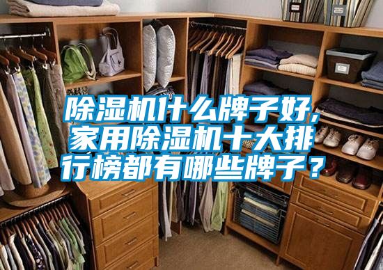 除濕機什么牌子好,家用除濕機十大排行榜都有哪些牌子？
