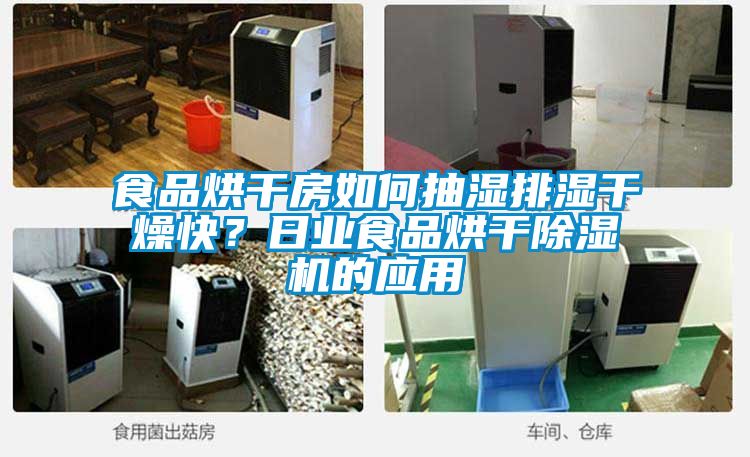食品烘干房如何抽濕排濕干燥快？日業(yè)食品烘干除濕機(jī)的應(yīng)用