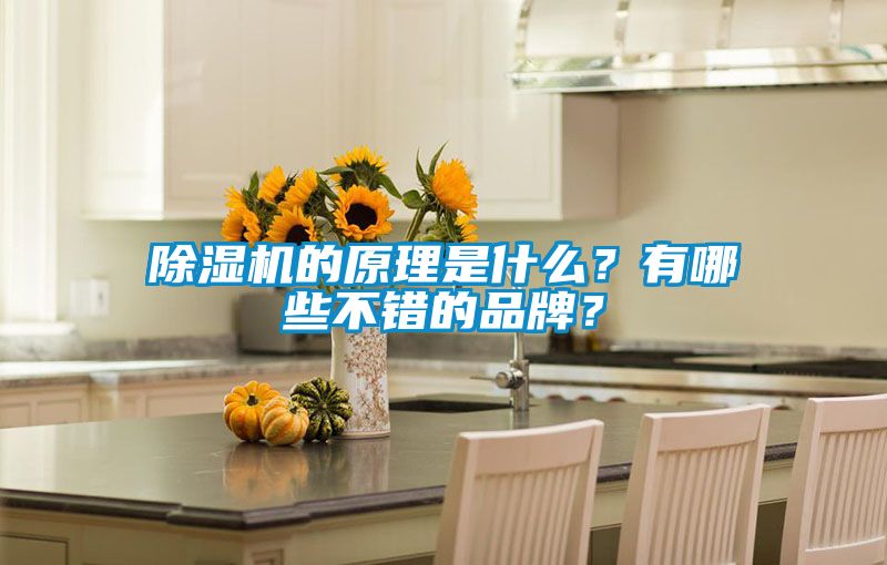 除濕機的原理是什么？有哪些不錯的品牌？